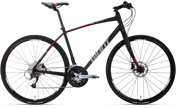 2019 GIANT Bicycles | ESCAPE RX 3