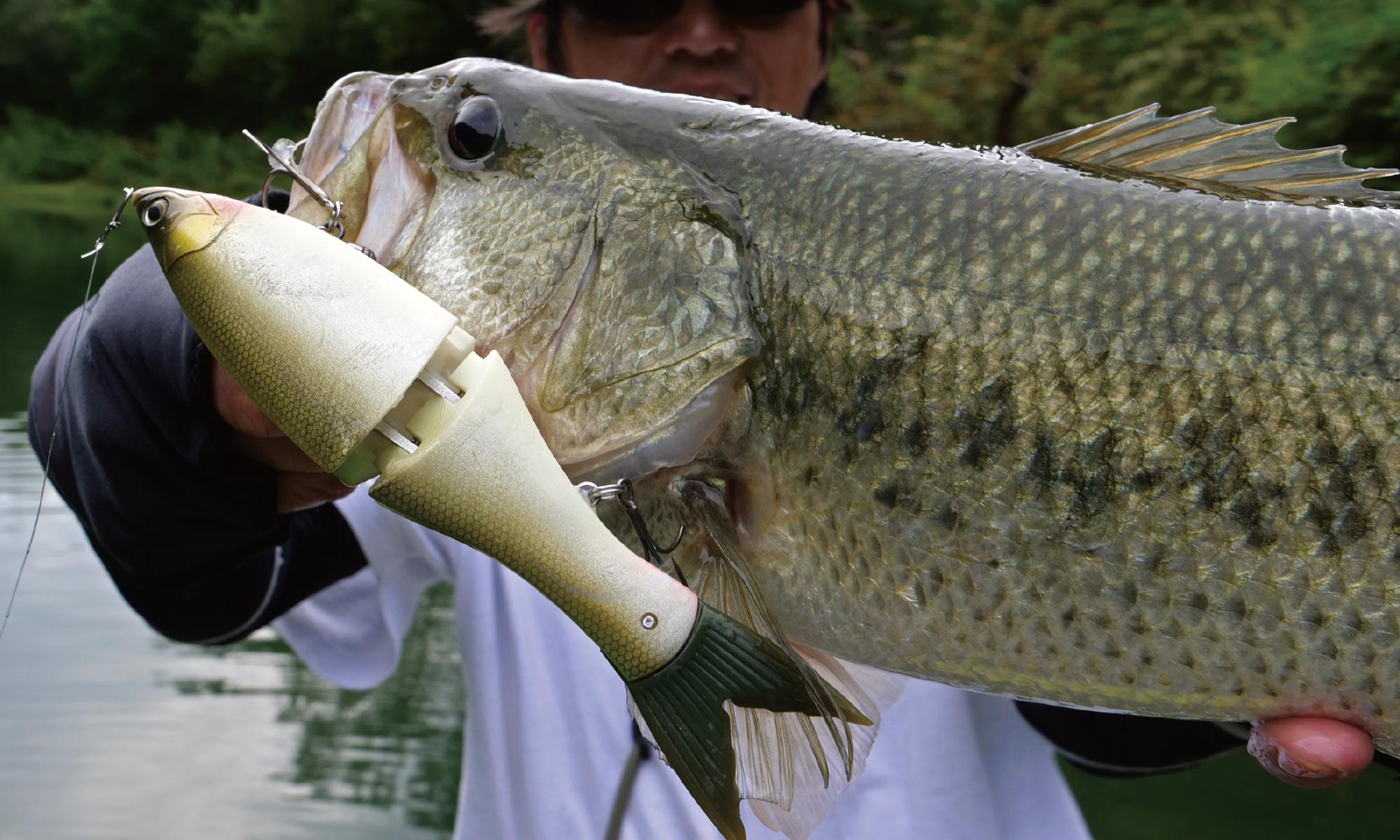 GRAND EDGE 190SF［グランドエッジ190SF］ | Product | グラスルーツ