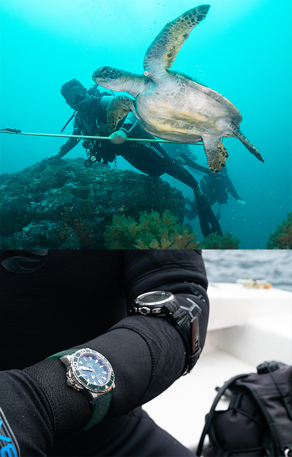 カール F. ブヘラ(CARL F. BUCHERER) マンタ調査エクアドル遠征に敬意