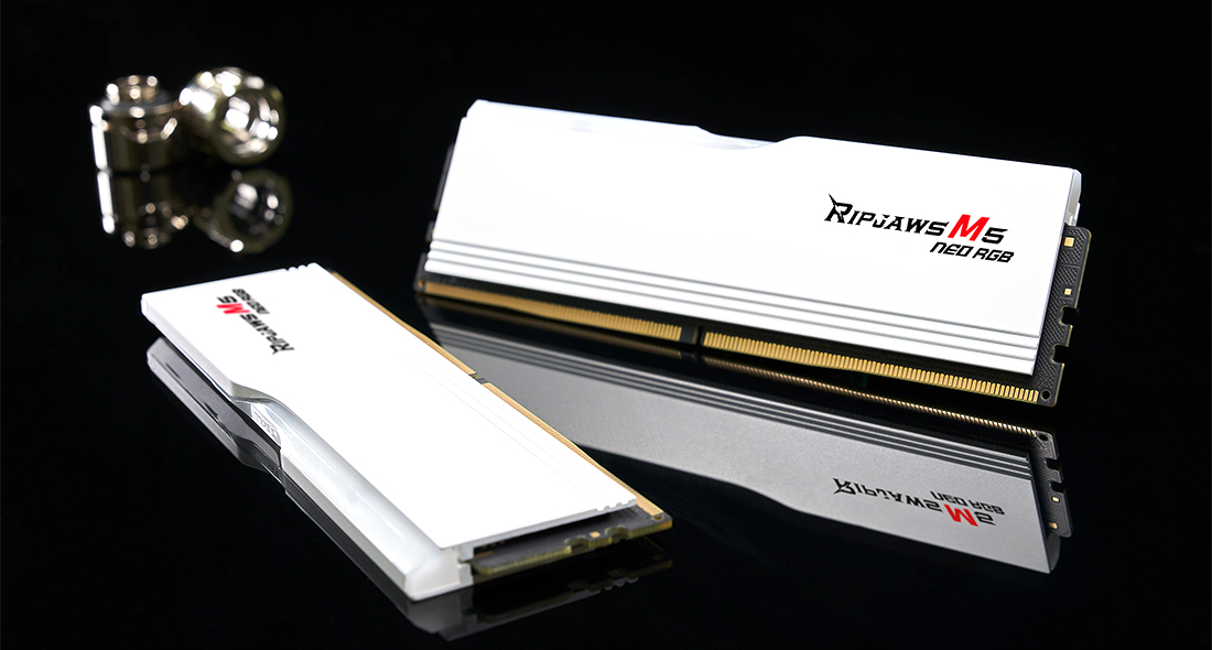 F5-6000J3636F16GX2-RM5NRW - Overview - G.SKILL International