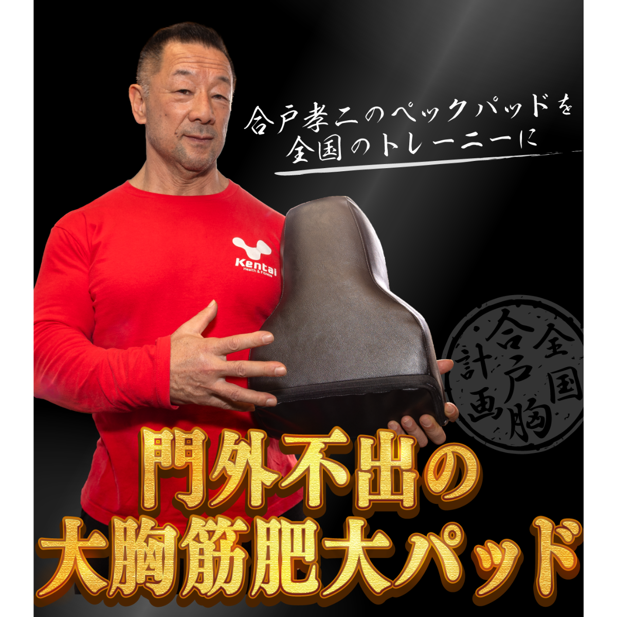 合戸式大胸筋肥大パッド（合戸孝二 開発）（ナーブス）-ジムガレージ