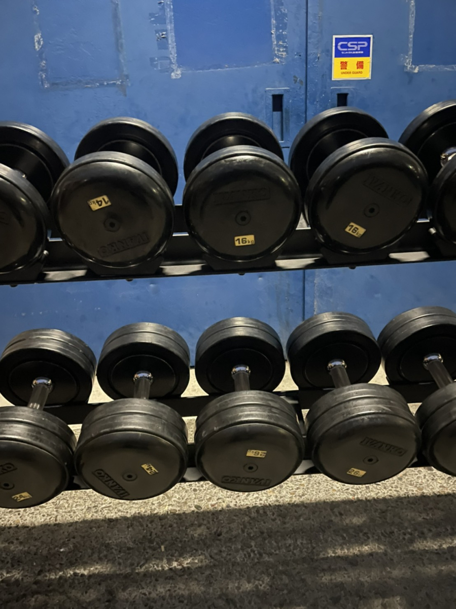 2段ダンベルラックセット（SDKRダンベル12～30kg）（中古）（IVANKO