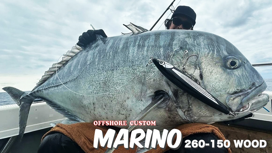 Marino260-150(wood)＞「D-CLAW」Casting and Jigging the salt water