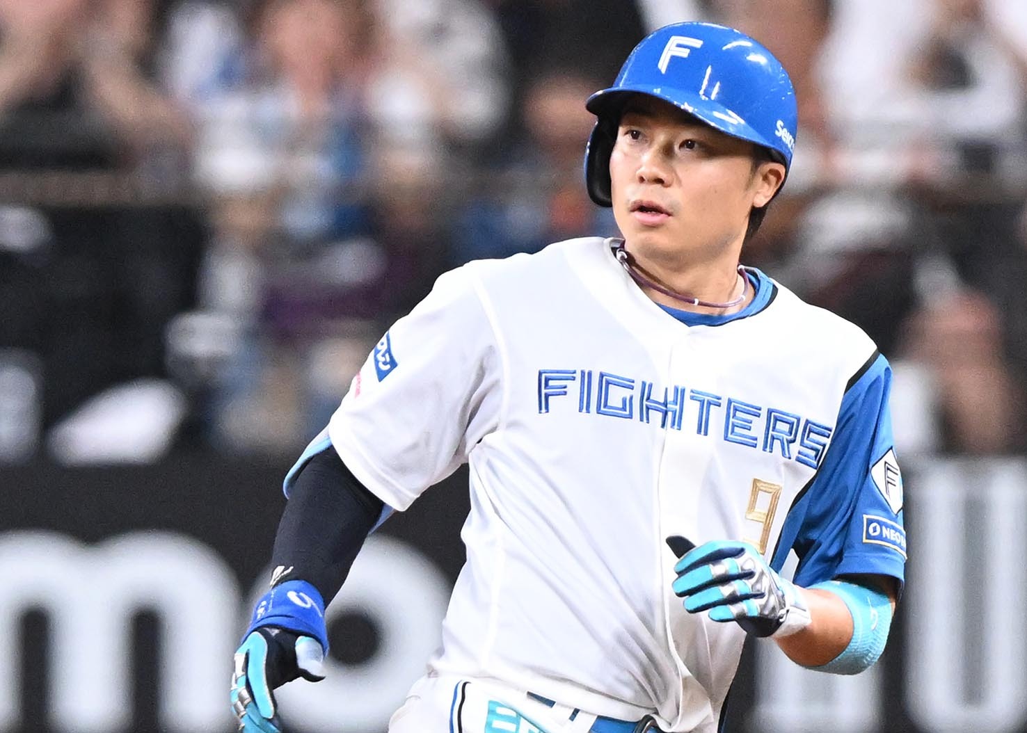 中島卓也関連一覧｜ニュース | 道新スポーツ | DOSHIN SPORTS