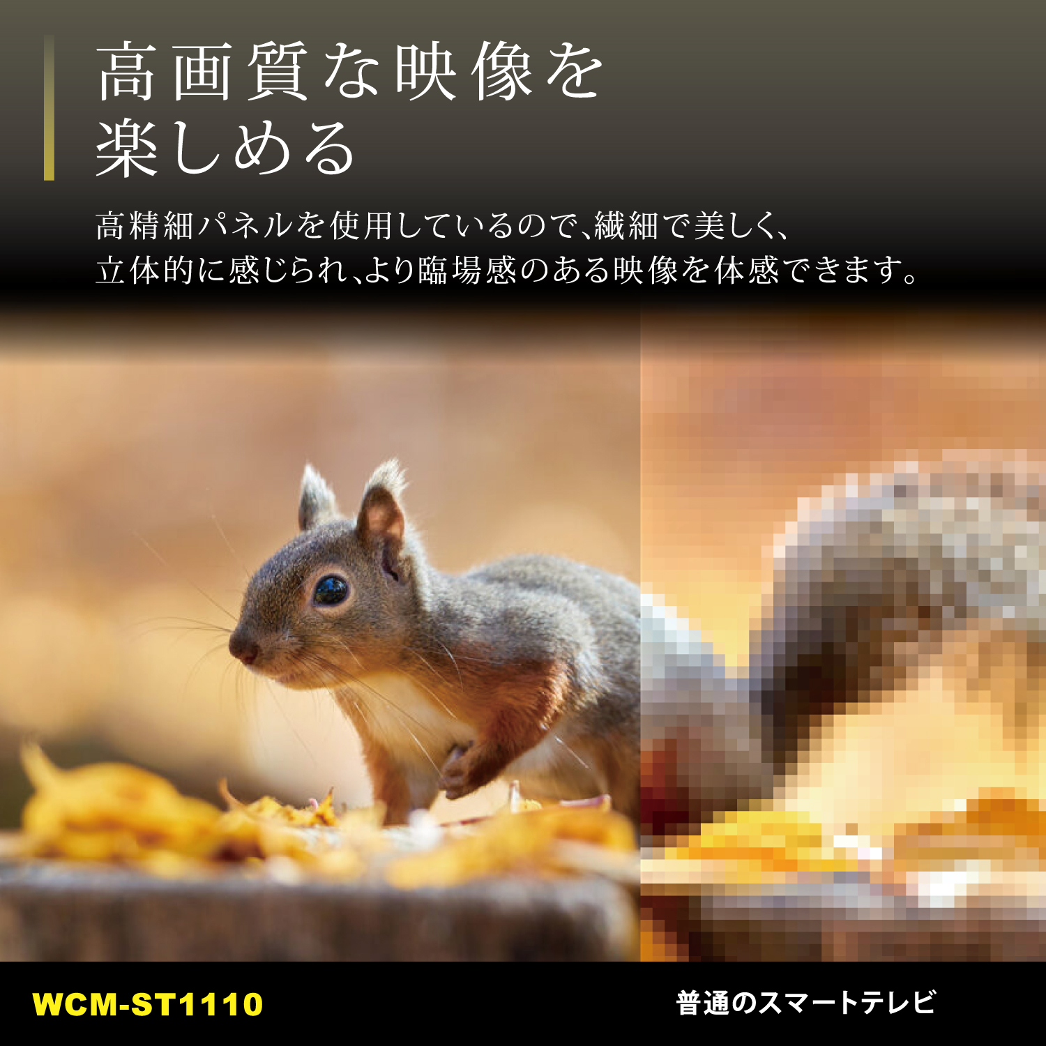 WCM-ST1110 | 11.6インチチューナーレステレビ