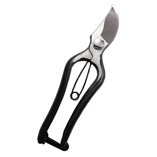 鍛造剪定鋏 EVER GREEN 園芸ハサミ | ホームセンター通販はDCMオンライン