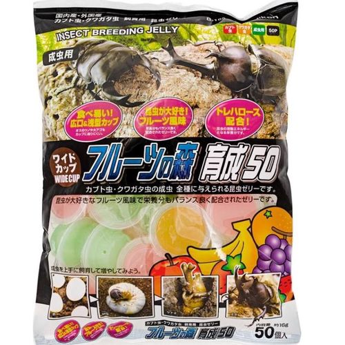 ワイドカップ フルーツの森 育成50 50個入り フジコン 昆虫ゼリー