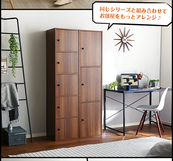 マルチカラーボックス5D【NEST.】5ドアタイプ ET-T5D--DBR ダーク