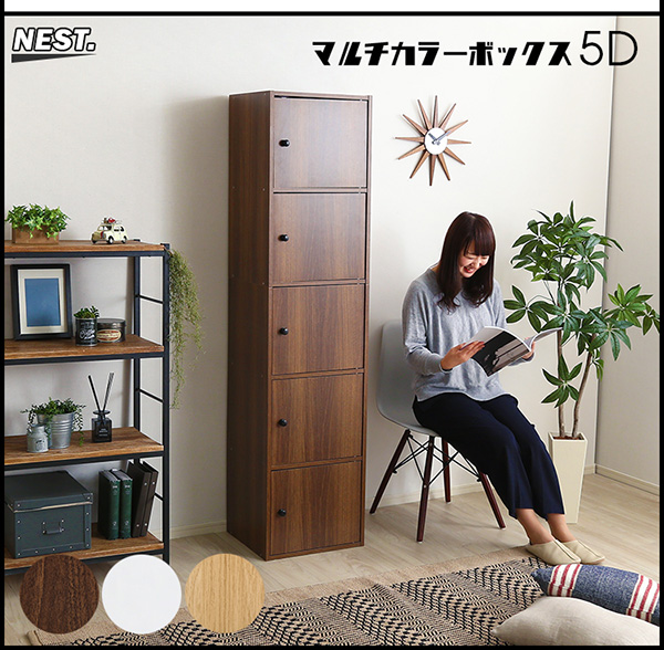 マルチカラーボックス5D【NEST.】5ドアタイプ ET-T5D--DBR ダーク