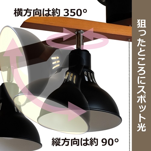 ロッドスポット DN4021RSBK タキズミ 照明器具 ブラック