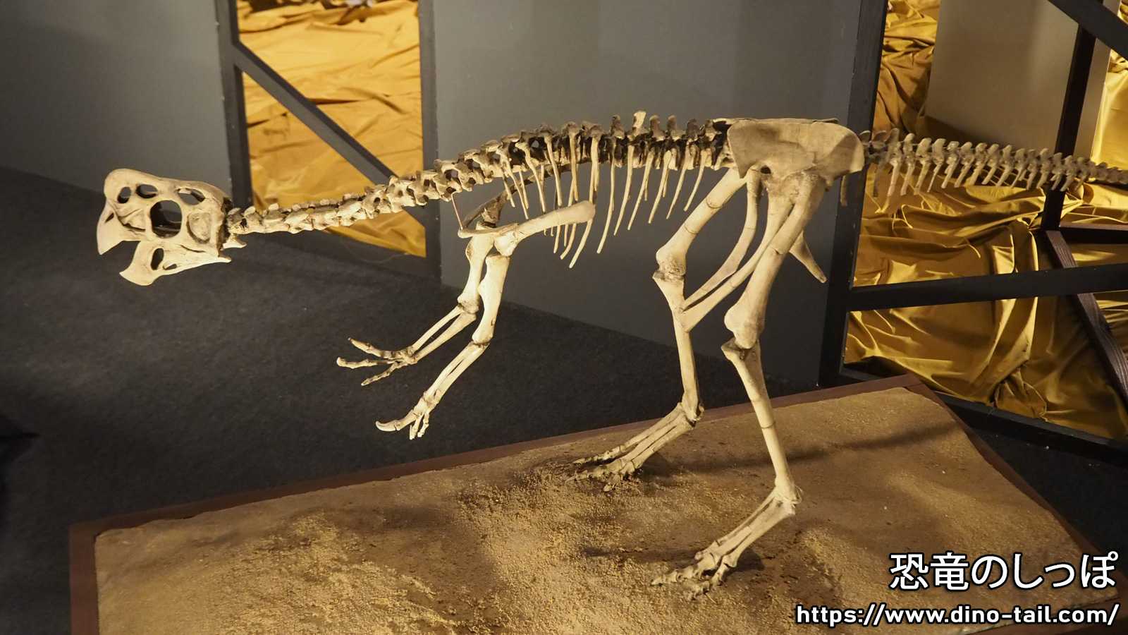 オビラプトル(オヴィラプトル) | 恐竜のしっぽ -図鑑-