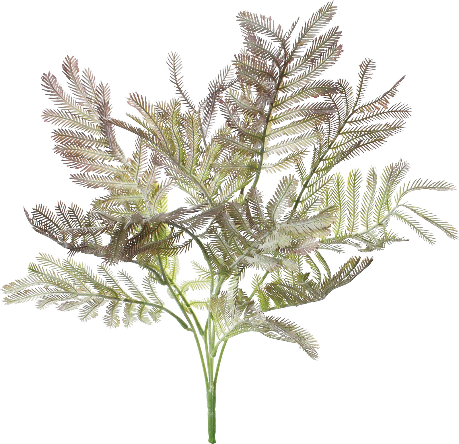 ｶﾗｰﾐﾓｻﾞﾘｰﾌﾌﾞｯｼｭ: フェイクグリーン ｜ YDMオンラインストア ｜ 横浜