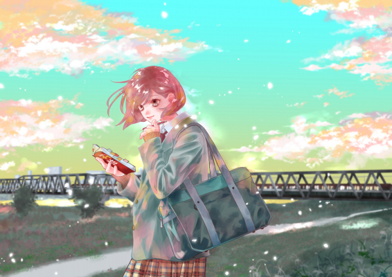 ちはやふる」の末次由紀先生描き下ろしイラストをケースデザイン/本冊