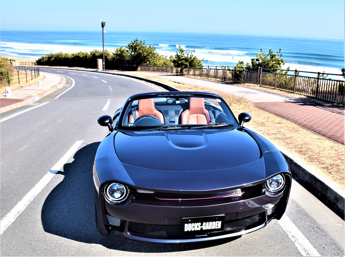 DUCKS-GARDEN RHT NIGHTINGALE is OPEN CAR!