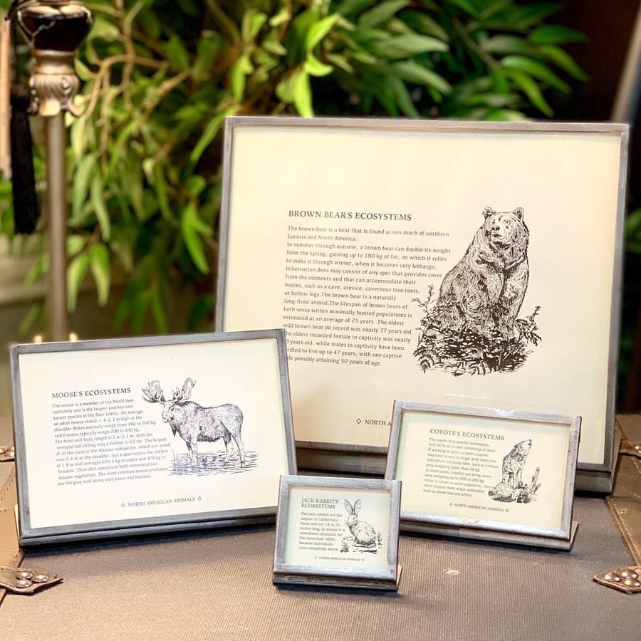 DULTON ONLINE SHOP | METAL FRAME 7(7): ツール & DIY