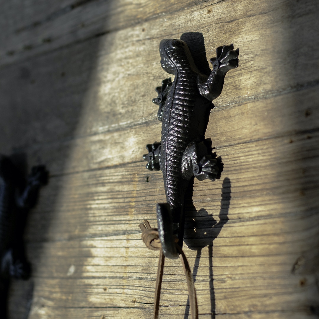 DULTON ONLINE SHOP | LIZARD HOOK A.BLACK(ANTIQUE BLACK): ツール & DIY
