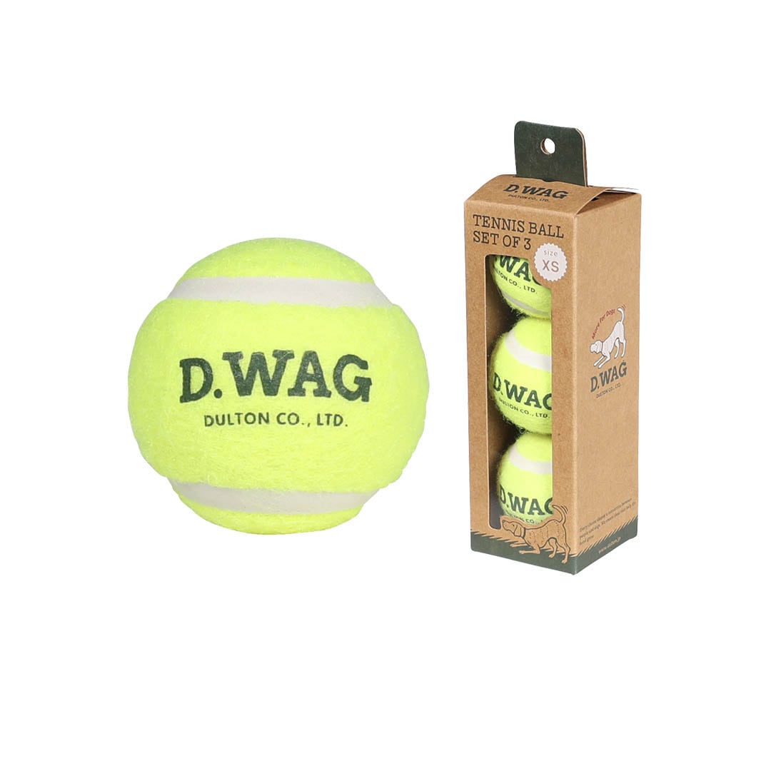 DULTON ONLINE SHOP | TENNIS BALL SET OF 3 XS(XS): ホーム用品