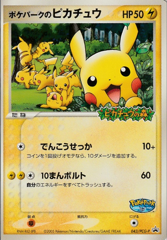 ポケパークのピカチュウ 「ポケパーク＜ピカチュウの森