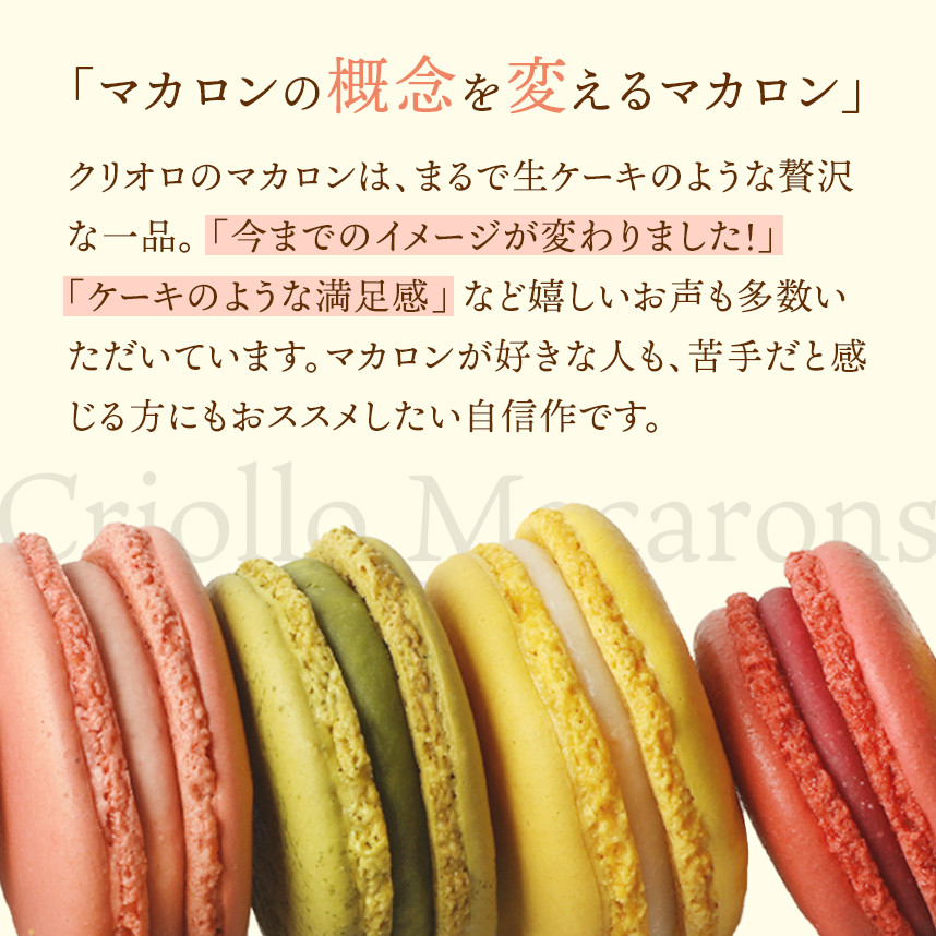 マカロン】マカロン10個セット（ショコラ/ガイア/フランボワーズ
