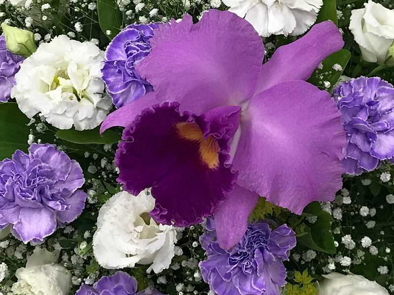 お供えアレンジ カトレア FR2287「Florist Kajiwara