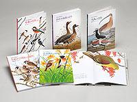 復刊・薮内正幸日本の野鳥セット－シリーズ | 絵本ナビ：レビュー・通販
