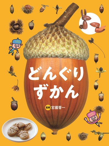 どんぐり ずかん | 宮國 晋一 | 絵本ナビ：レビュー・通販