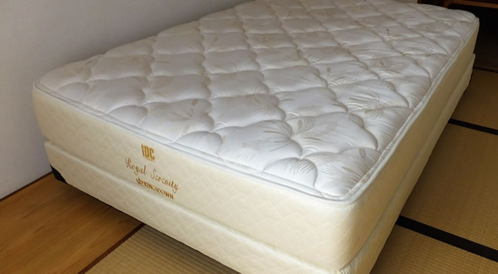 レガリア・キングスダウン（KINGS DOWN）・ロイヤルセレニティ-・セミ