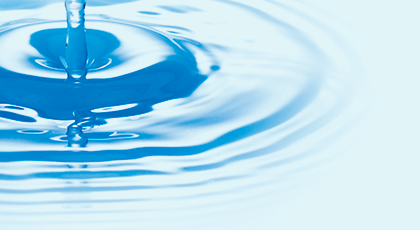 GWSエッセンス｜商品情報｜株式会社エリナ