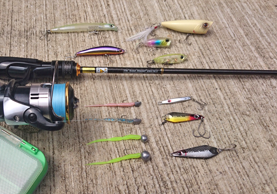 EVERGREEN（エバーグリーン インターナショナル） – 中島央憲 ズバ抜け