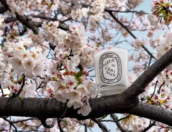 ディプティック26年春“桜の香り”フレグランスキャンドル、九州初