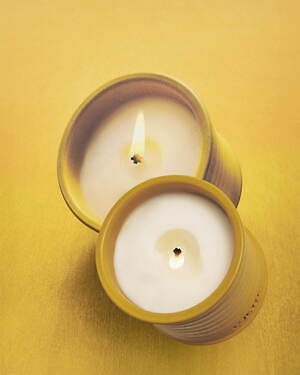 ロエベ パルファムに「ワサビ」の新たな香り、“爽やか＆スパイシー”な