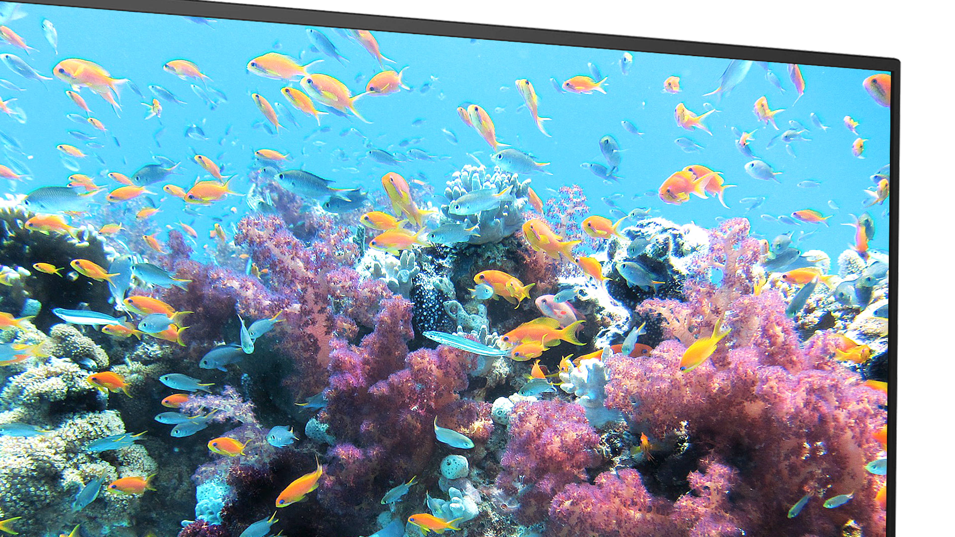 テレビ FFF-TV2K40WBK2 | FFF SMART LIFE CONNECTED株式会社