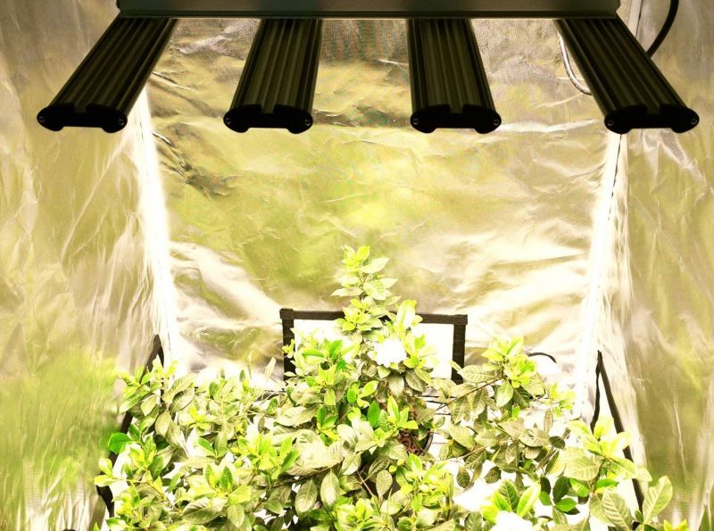 Spider LED LP8 - 室内園芸 Flora Farm 03-6416-5200