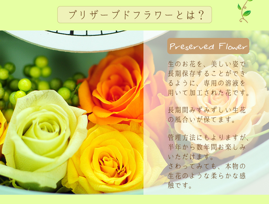 プリザーブドフラワー 花時計ナチュラルグリーン 円形 プリザーブド