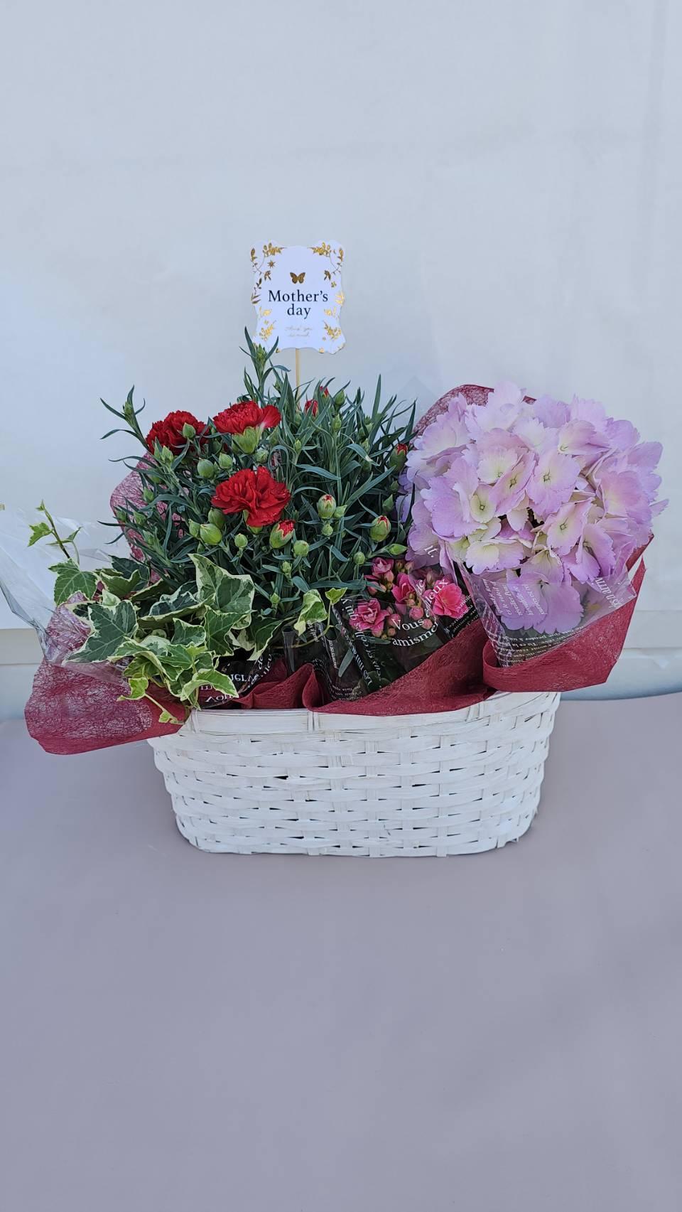 母の日の贈り物に好評販売中 商品詳細｜レインボーローズ プリザーブド