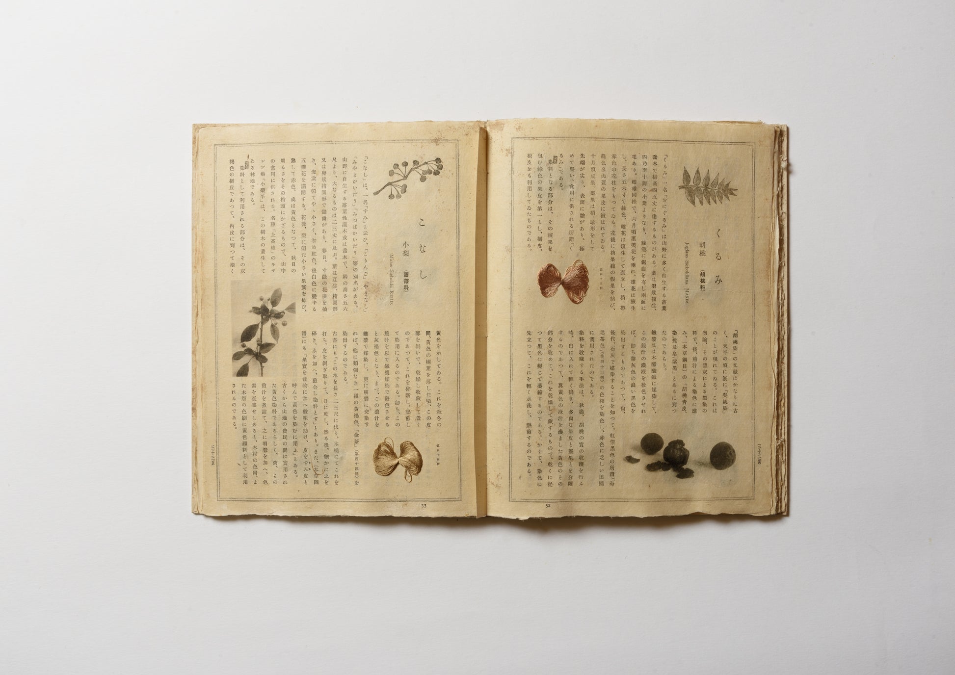 Dyeing record of Indigenous Japanese Plants and Trees / 日本固有