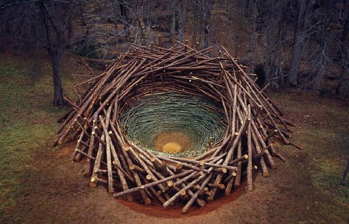 Nature Land Art Installations by Nils Udo – Fubiz Media