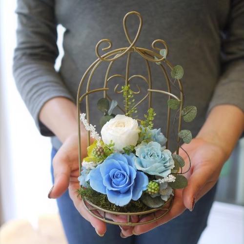 プリザーブドフラワー 鳥かごブルー」| 花屋「Apertio Floris（ｱﾍﾟﾙﾃｨ