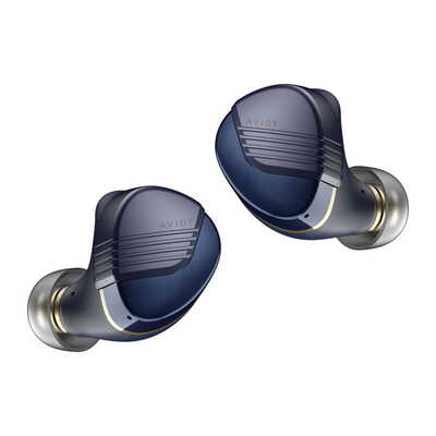 AVIOT TE-W1-PNK ピエール中野コラボモデル 新品｜フジヤエービック