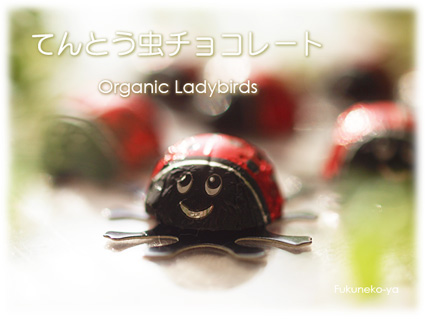 フェアトレードチョコレート「てんとう虫チョコレート」 ：フェア