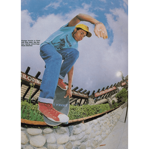 パウエルペラルタスケートボード レイ・バービー ラグドール復刻版