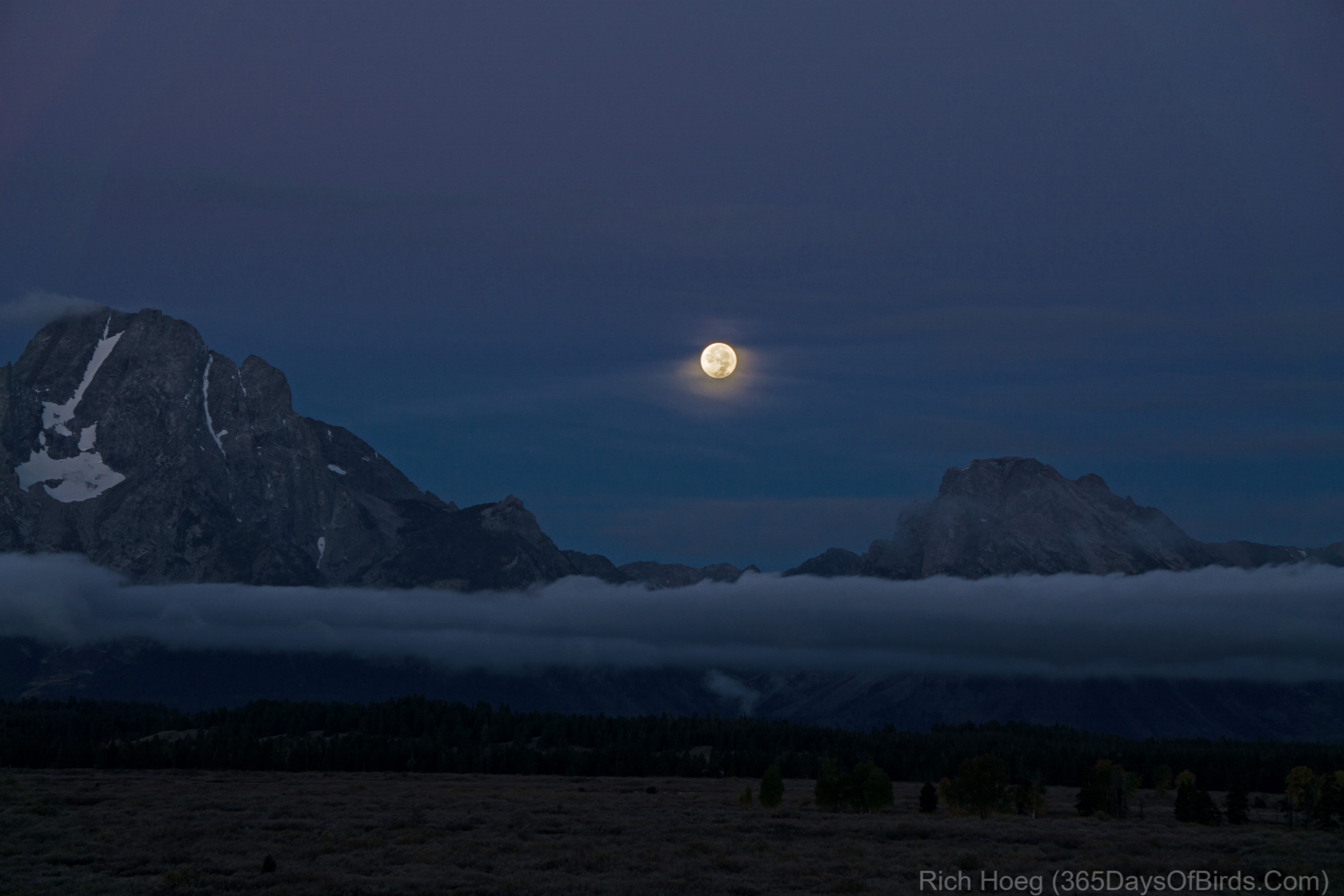 Full Moon Setting Over the Grand Tetons | 365 Days of Birds