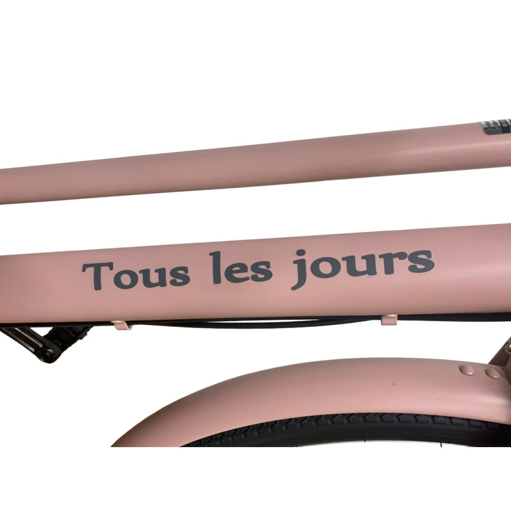 SOUTHERNPORT 【ネット注文限定品】26型軽快車 外装6段 ピンク