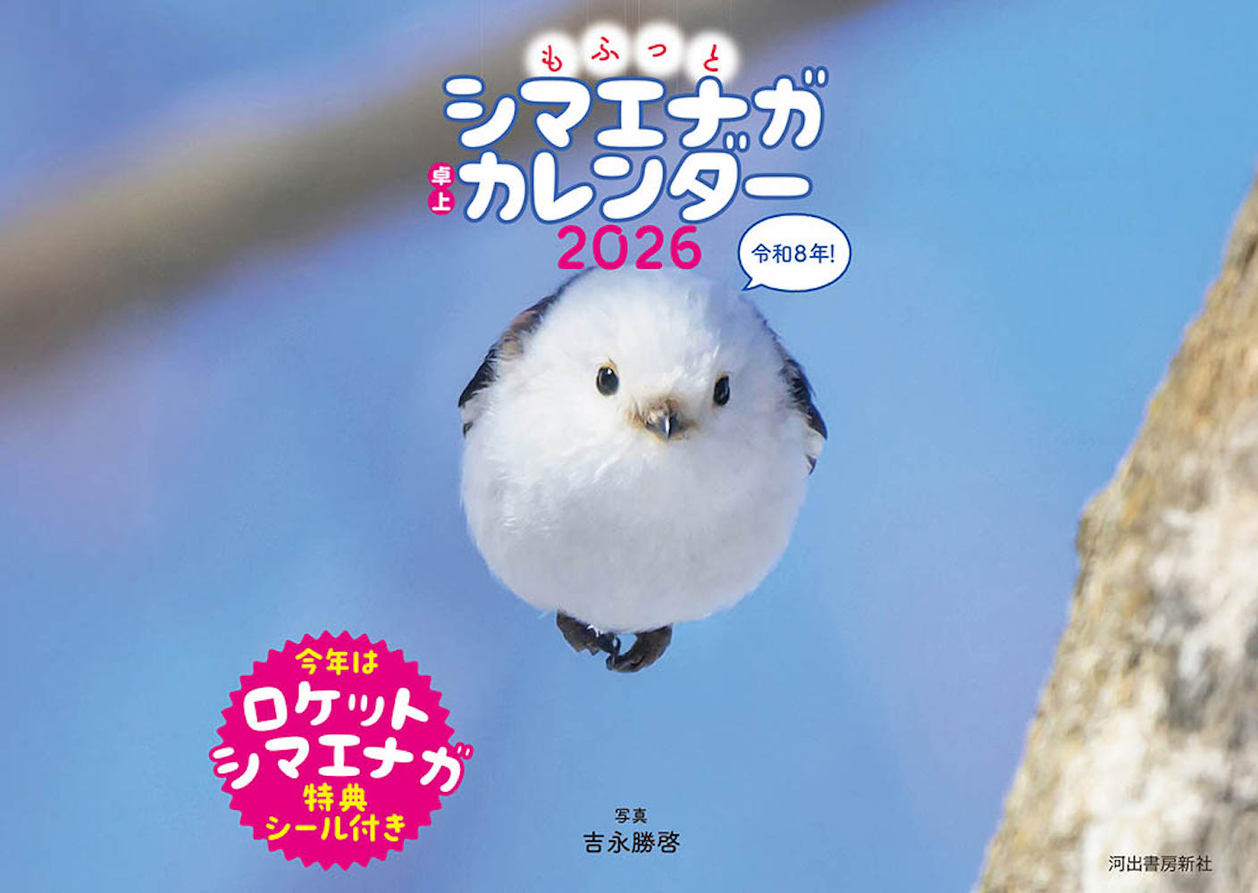 鳥を見る :野口 里佳 | 河出書房新社