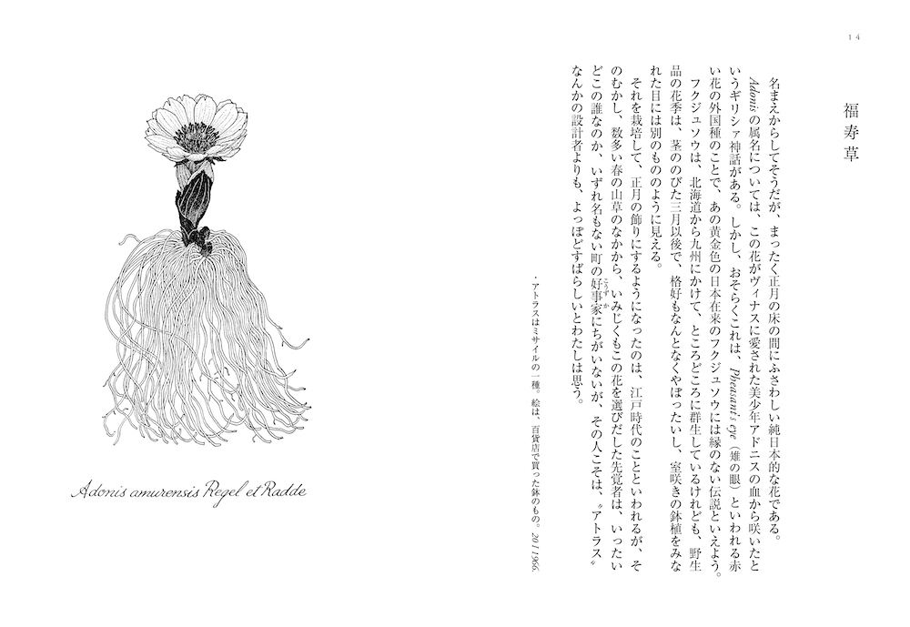 植物誌 :佐藤 達夫 | 河出書房新社