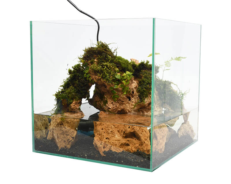 吸水石レイアウトセット：石・流木 ～神畑養魚株式会社～