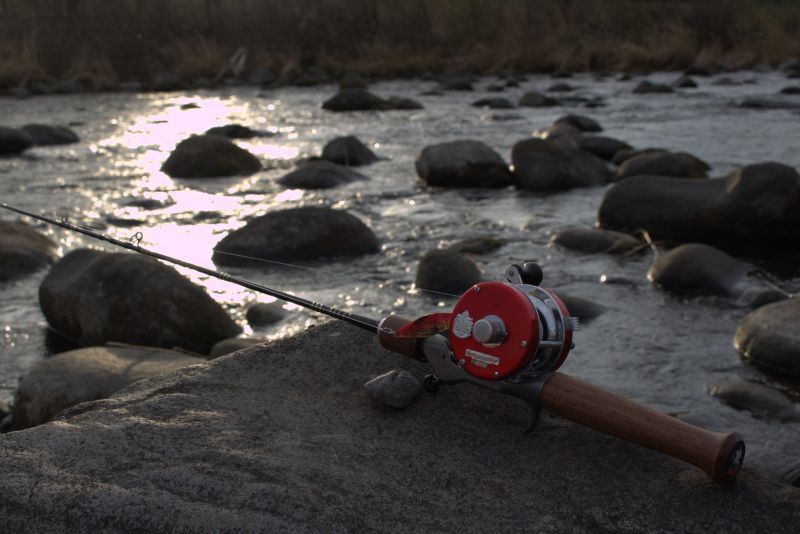 ☆入荷！在庫僅か☆WESSEX ウェセックストラウトロッド／ベイト WSE-C