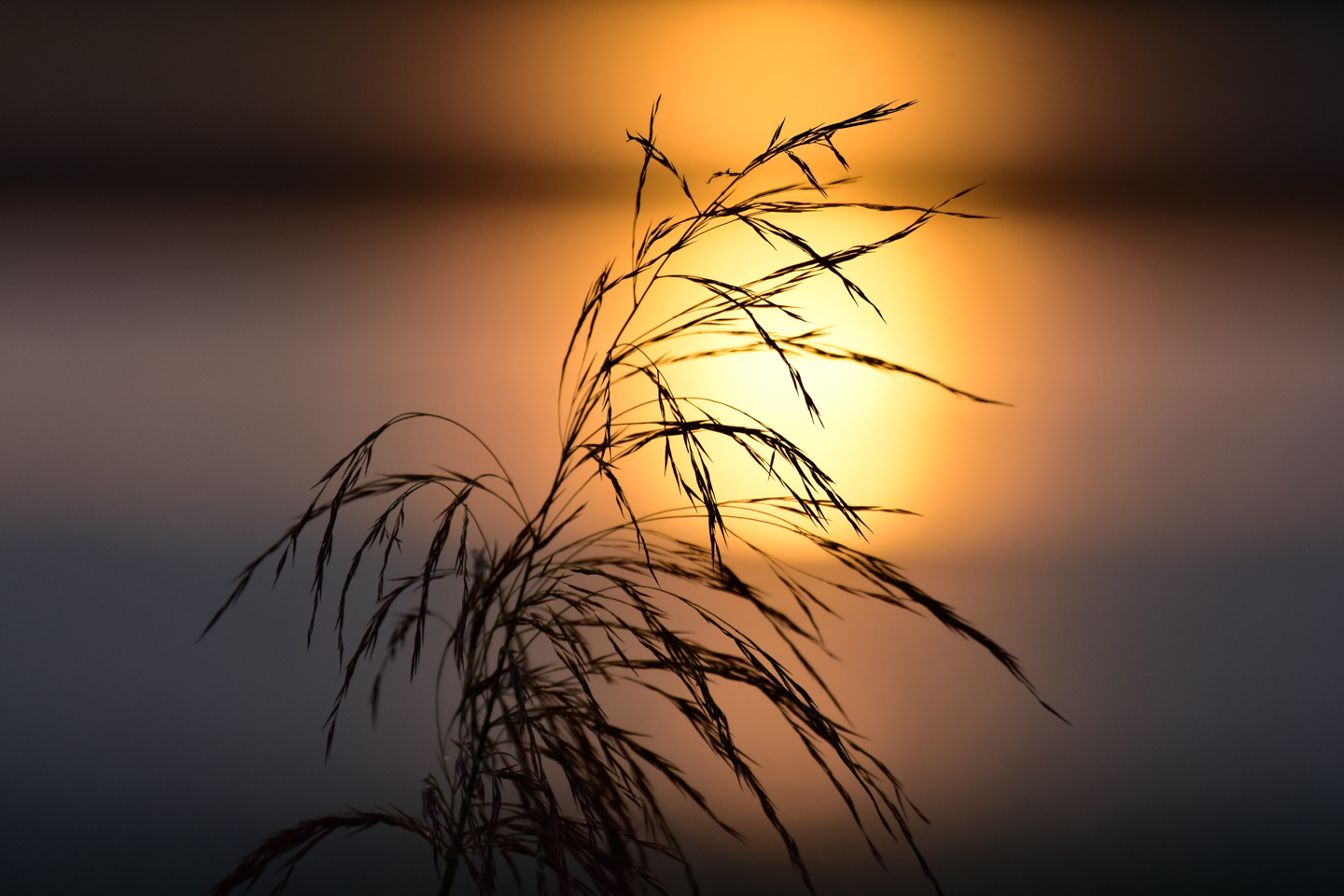 ネイチャースナップのすすめ｜ニコン D7200で探す秋の気配 | ShaSha