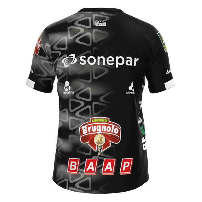 バレーボール イタリア セリエAパッラヴォーロ・パドヴァ 2024-25試合