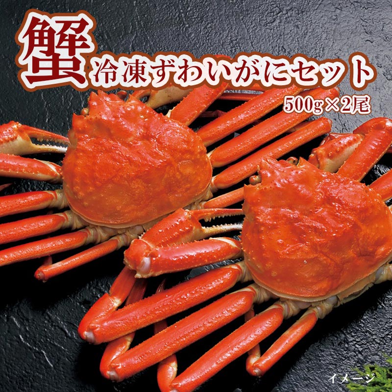 冷凍ずわいがにセット 500g×2尾【札幌蟹販】 - 北海道発見市場【北市